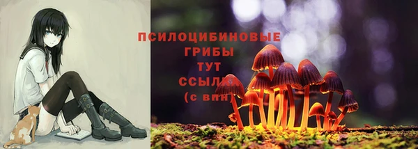 сатива Алексеевка